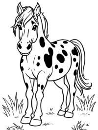 Appaloosa ló