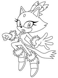 Blaze, a macska