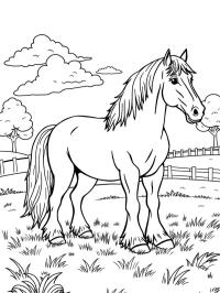 Clydesdale ló