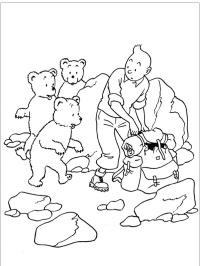 Tintin és a medvék